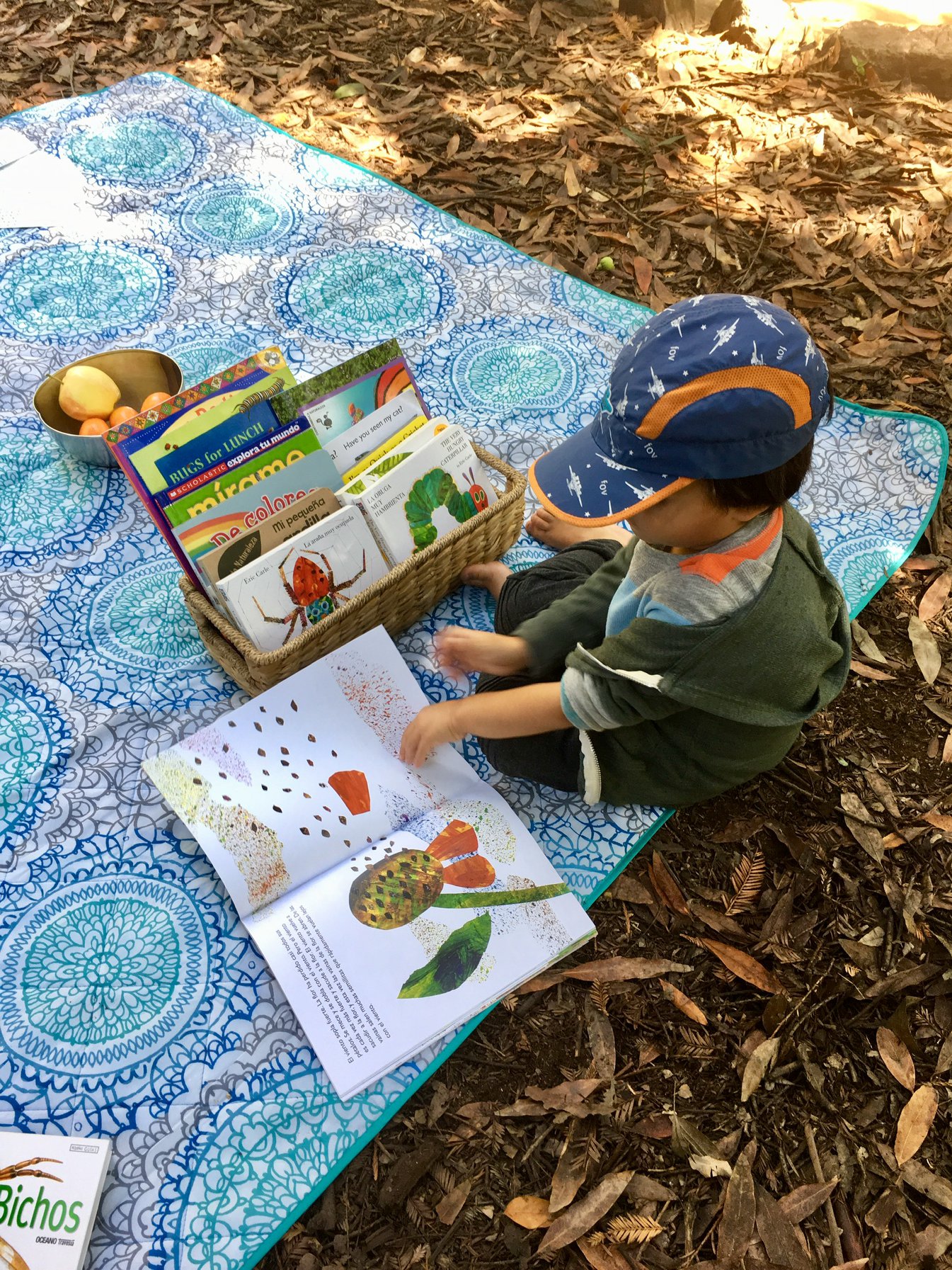 child on blanket outside reading a book from basket of books